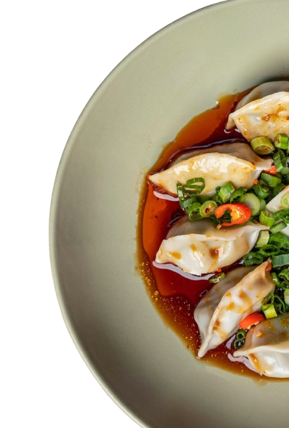 Beef Dumplings